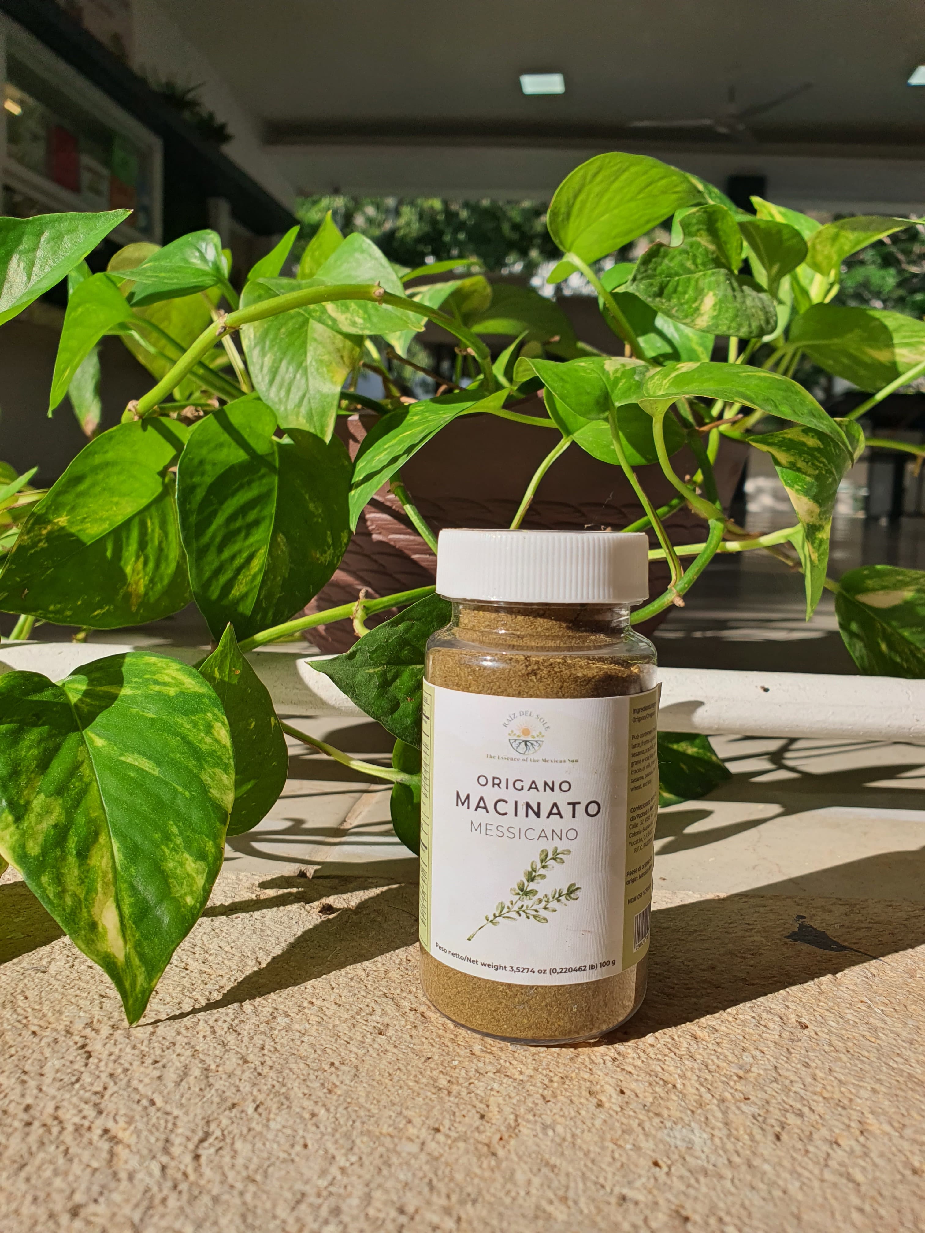 Orégano Premium Clásico